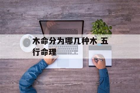 属木的行业|木命分为哪几种木 五行属木的人适合做什么行业